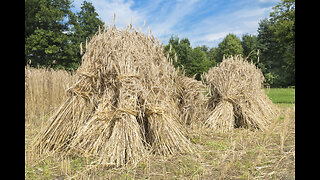 Bringing in the Sheaves Is Not What You Think It Is