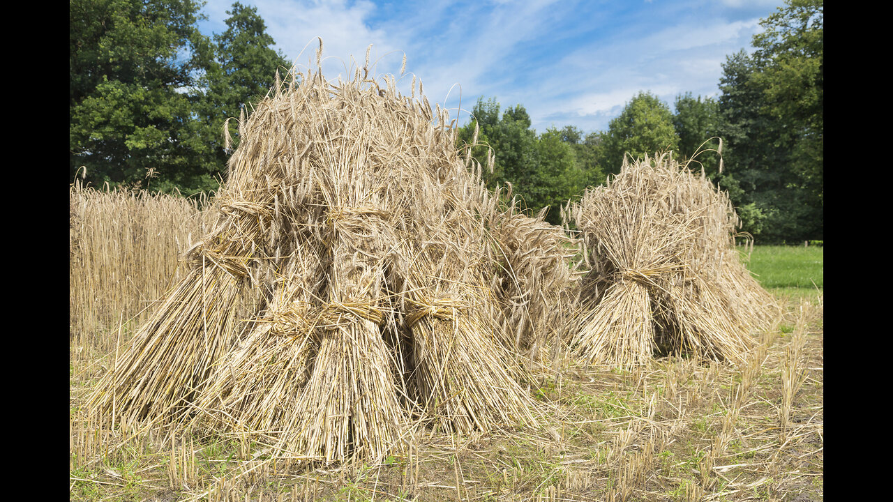 Bringing in the Sheaves Is Not What You Think It Is