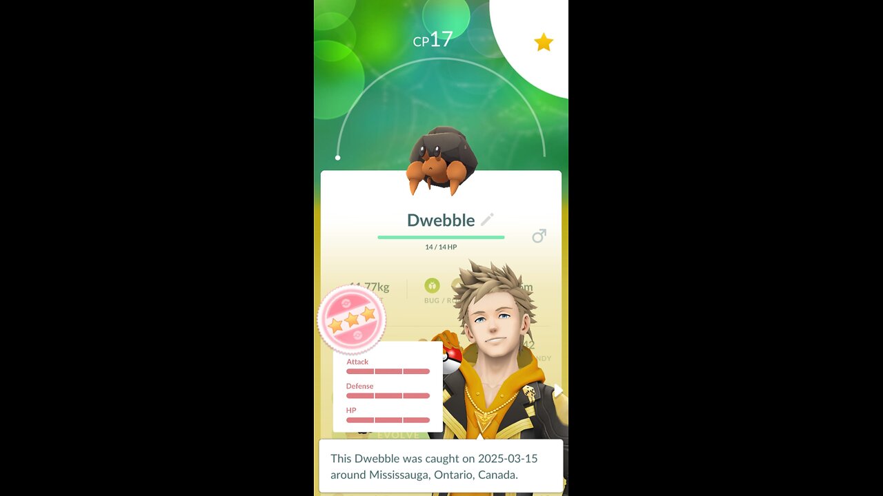 Catching a 100 IV Hundo Dwebble in Pokémon GO! | Hunt for Hundo Series