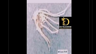 Synthetic parasites, Morgelliance and nanobots