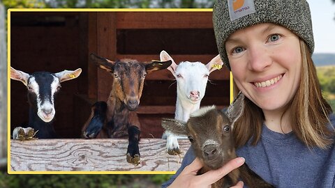 Holistic Goat Management - Goat Expert Morgan Michaluk