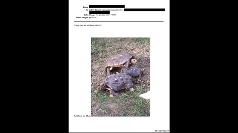 Epstein and Transgenic Humans DIY Designer Baby Project