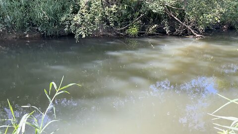 Monodruid (Live) Fordcombe — River Medway — Session 2 (25th August, 2025)