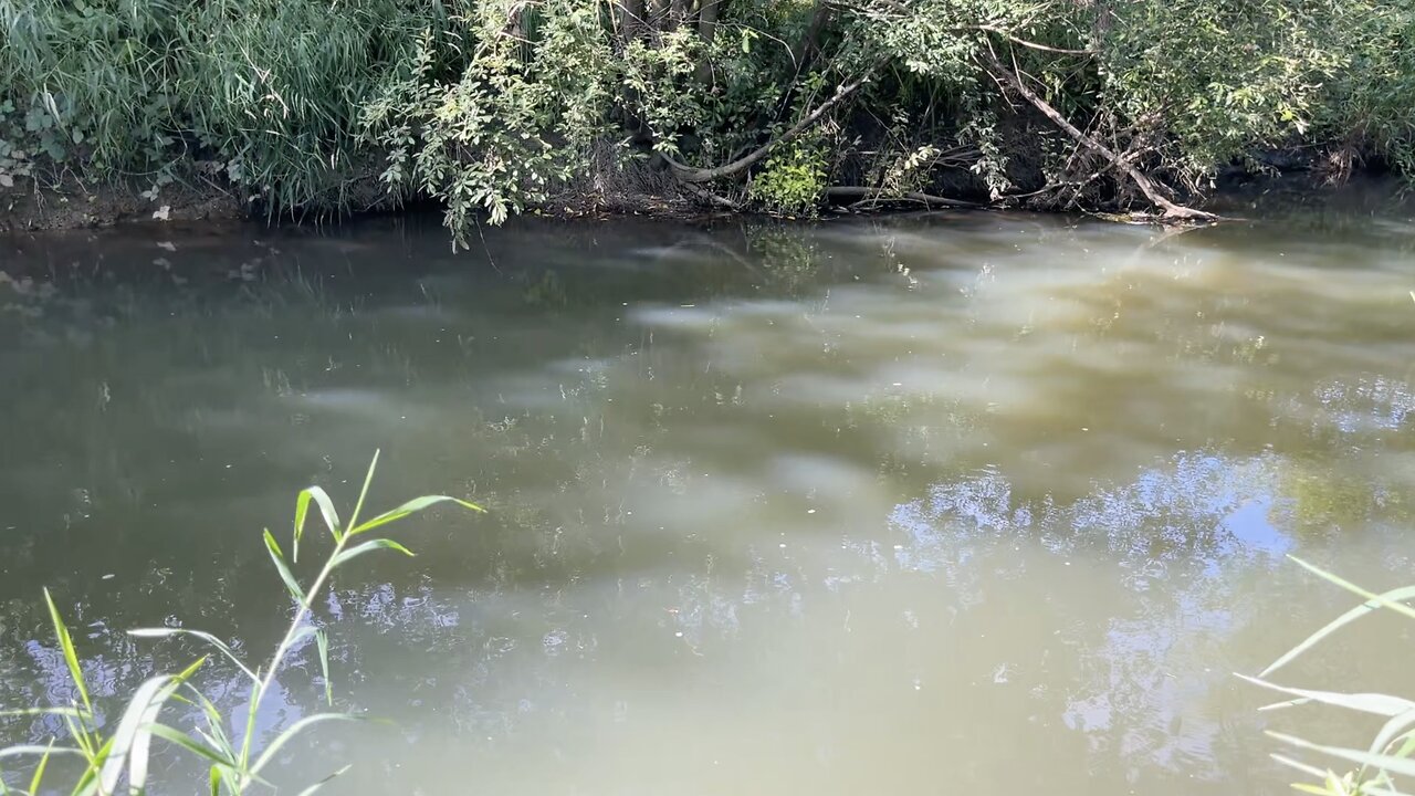 Monodruid (Live) Fordcombe — River Medway — Session 2 (25th August, 2025)