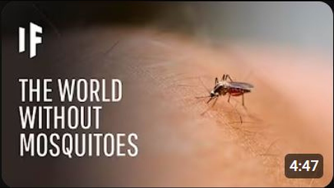 What If We Killed All Mosquitoes?