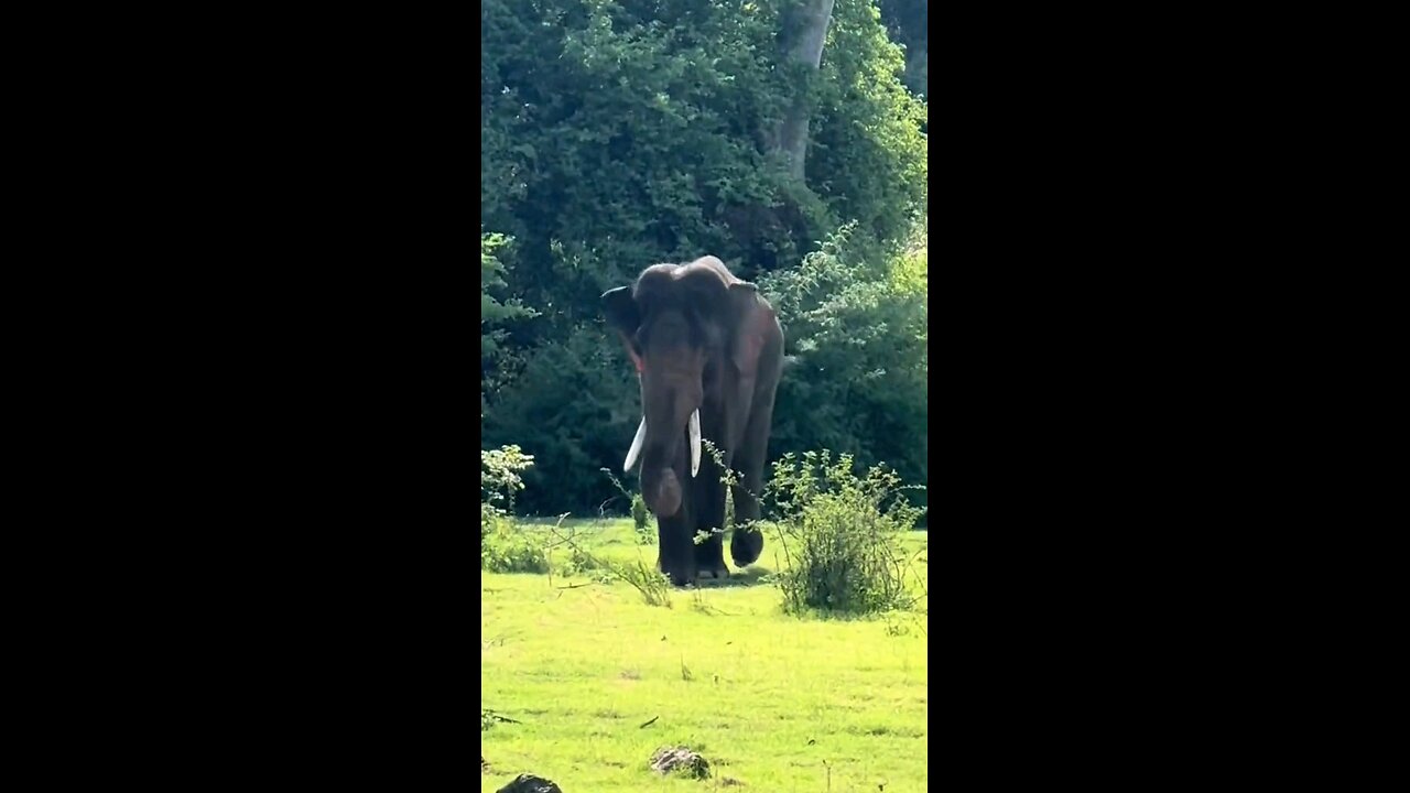 Welcome to Sri Lanka 🇱🇰