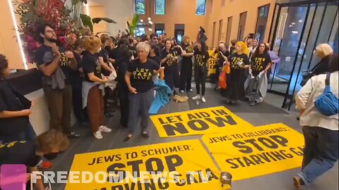 Pro-Palestine protesters STORM Chuck Schumer's office in NY