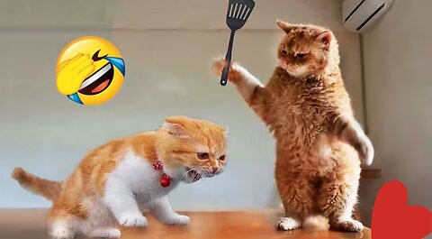 When Animals Act Like Humans 😂🐾
