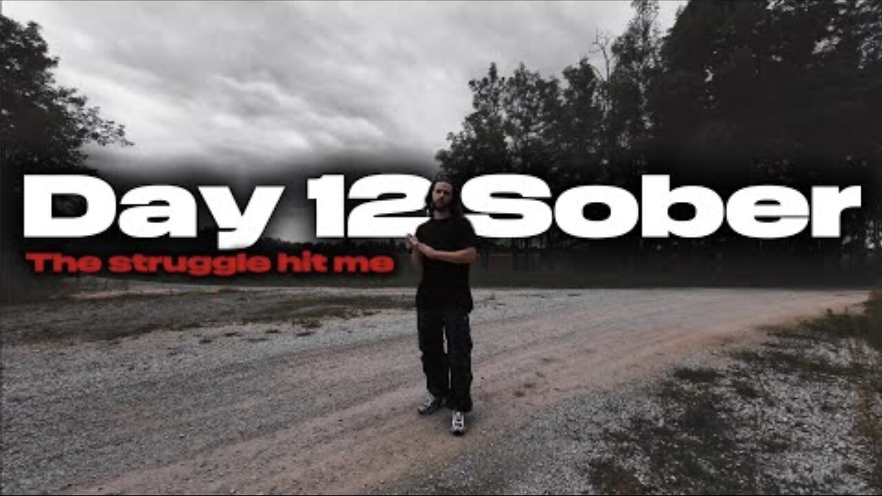 Day 12 Sober: Nearly Broke Down