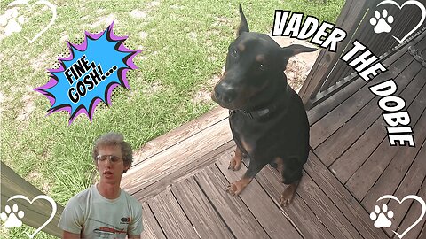 Doberman Ditches Uncle Chris for the Girl Next Door 🚗🐾😎🌸