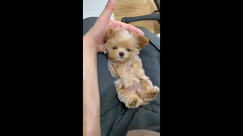 Chill time 😇