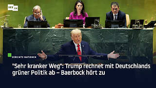 "Sehr kranker Weg": Trump rechnet mit Deutschlands grüner Politik ab – Baerbock hört zu