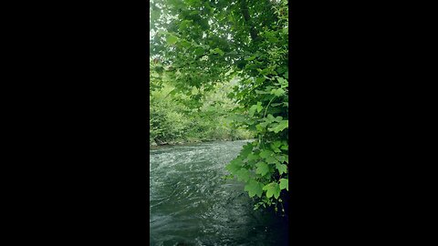 Nature|| Peaceful moments by the river.