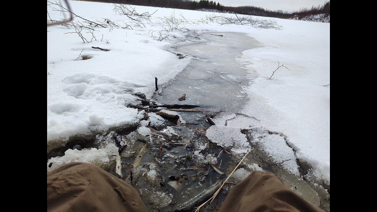 April 2, 2025 - Next Morning Beaver Trapping