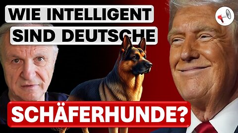 US-Präsident Donald Trump und die Intelligenz des Schäferhunds
