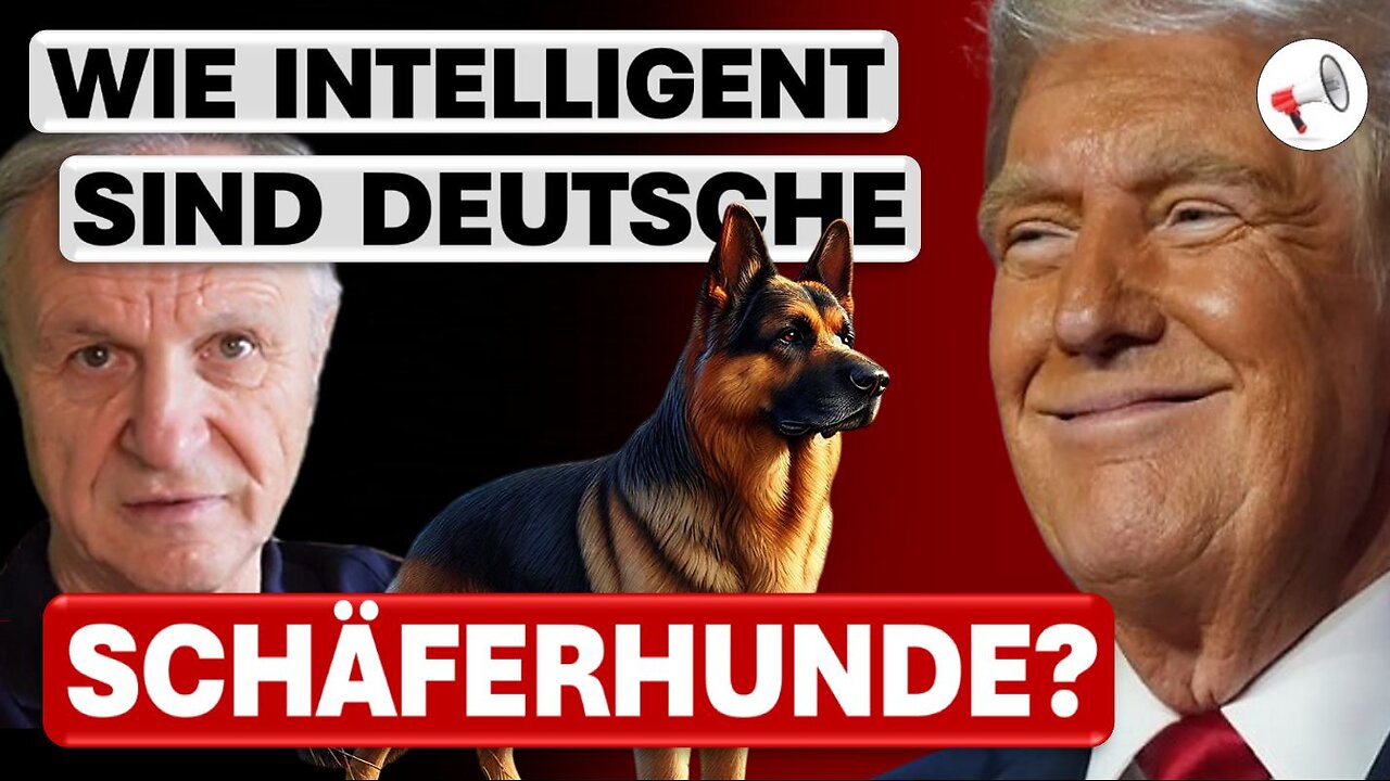 US-Präsident Donald Trump und die Intelligenz des Schäferhunds