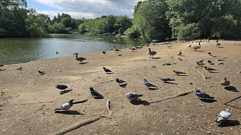 Heaton Park