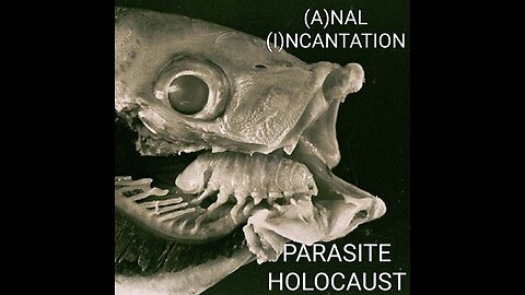 (A)NAL (I)NCANTATION music video PARASITE HOLOCAUST