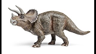 Triceratops