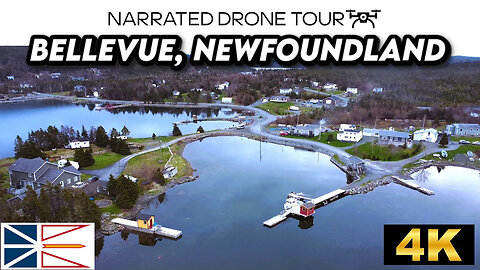 🌊 Bellevue, Newfoundland and Labrador 🏘️ 4K Drone