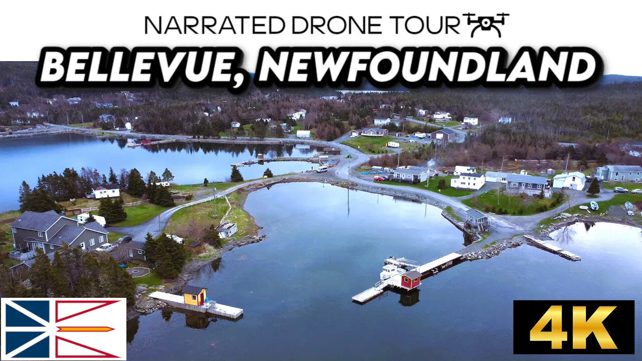 🌊 Bellevue, Newfoundland and Labrador 🏘️ 4K Drone