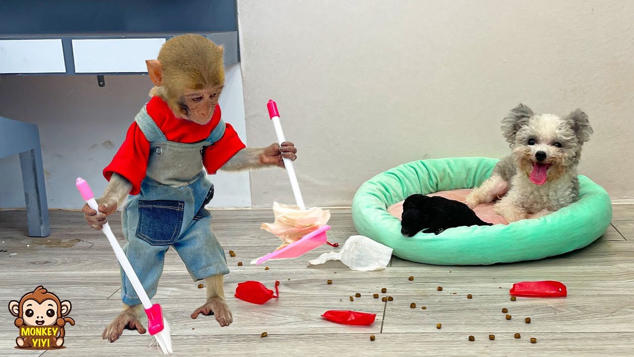 Nanny YiYi learns how to take care of puppies while mom is away