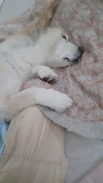 20250716. Jesus Christ With Me. Forever. Amen.