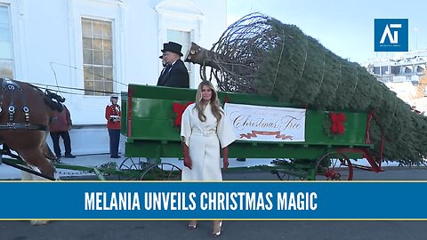 Melania Trump Welcomes the 2025 White House Christmas Tree | USA | Amaravati Today