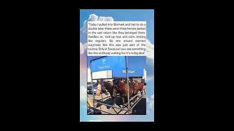 Horses Spotted Parked at Walmart in True Texas Style