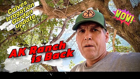 AK Ranch is BACK! Irrigation, calves and garden updates!!