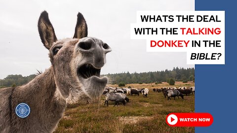 What's the deal with the talking donkey in the Bible?