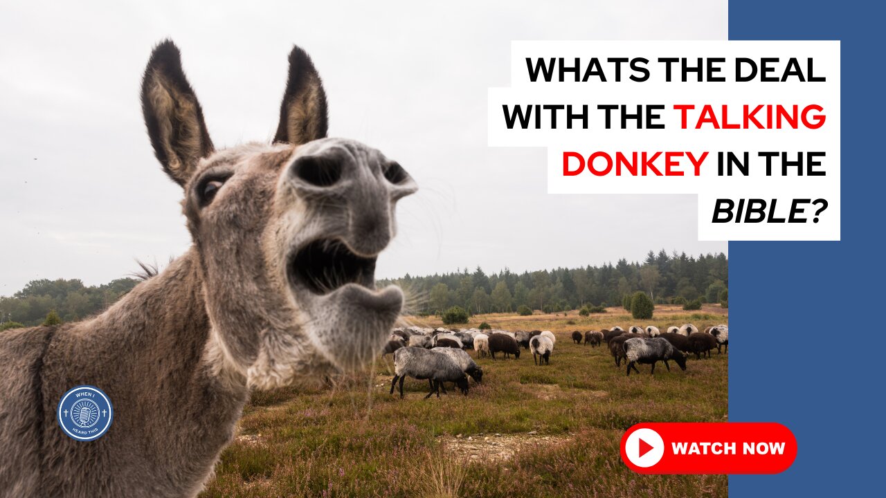 What's the deal with the talking donkey in the Bible?