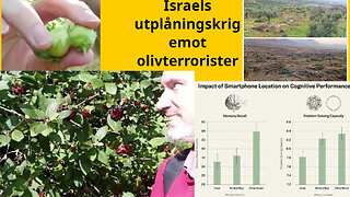 Kemisk ost. Mobil-hjärna. Usla argument. Tjejregissörer. Fenbendazol. Min vräkning, Jordabalken