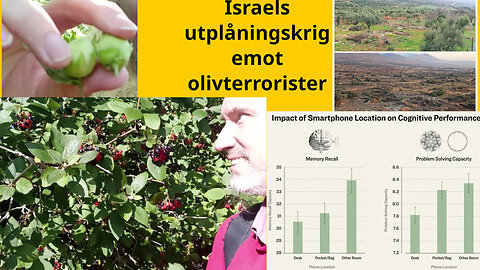 Kemisk ost. Mobil-hjärna. Usla argument. Tjejregissörer. Fenbendazol. Min vräkning, Jordabalken