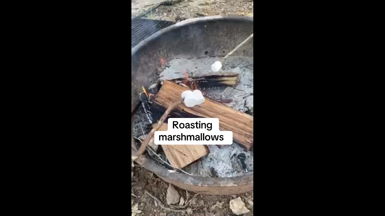 Roasting marshmallows