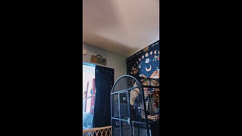 Cleaning Cages
