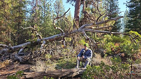 WordHike 108, 2 Chr 6-7, Ps 136, 2 Cor 7