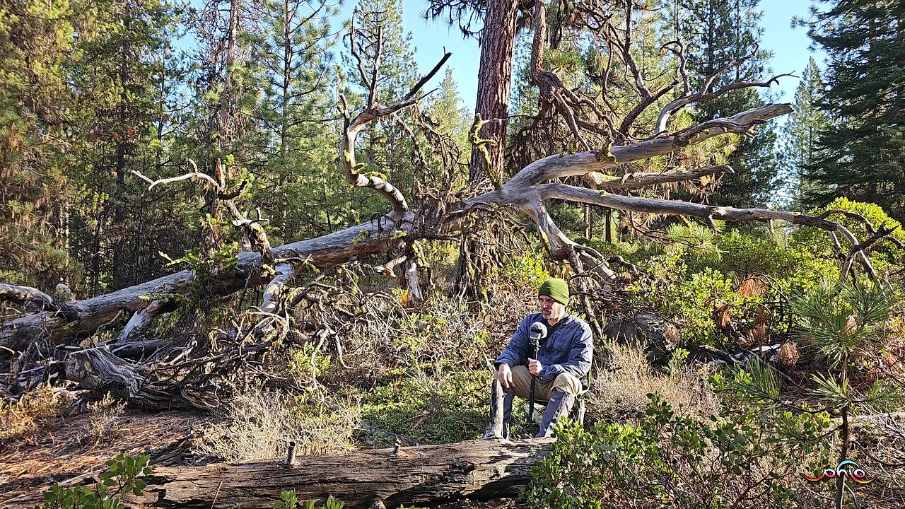 WordHike 108, 2 Chr 6-7, Ps 136, 2 Cor 7