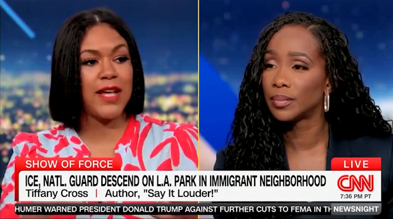 Tiffany Cross Claims ICE Is Sending Illegals To Concentration Camps