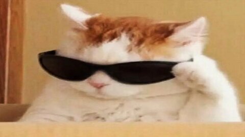 New Funny Animals 😂 Funniest Cats and Dogs Videos 😺🐶 Part 153