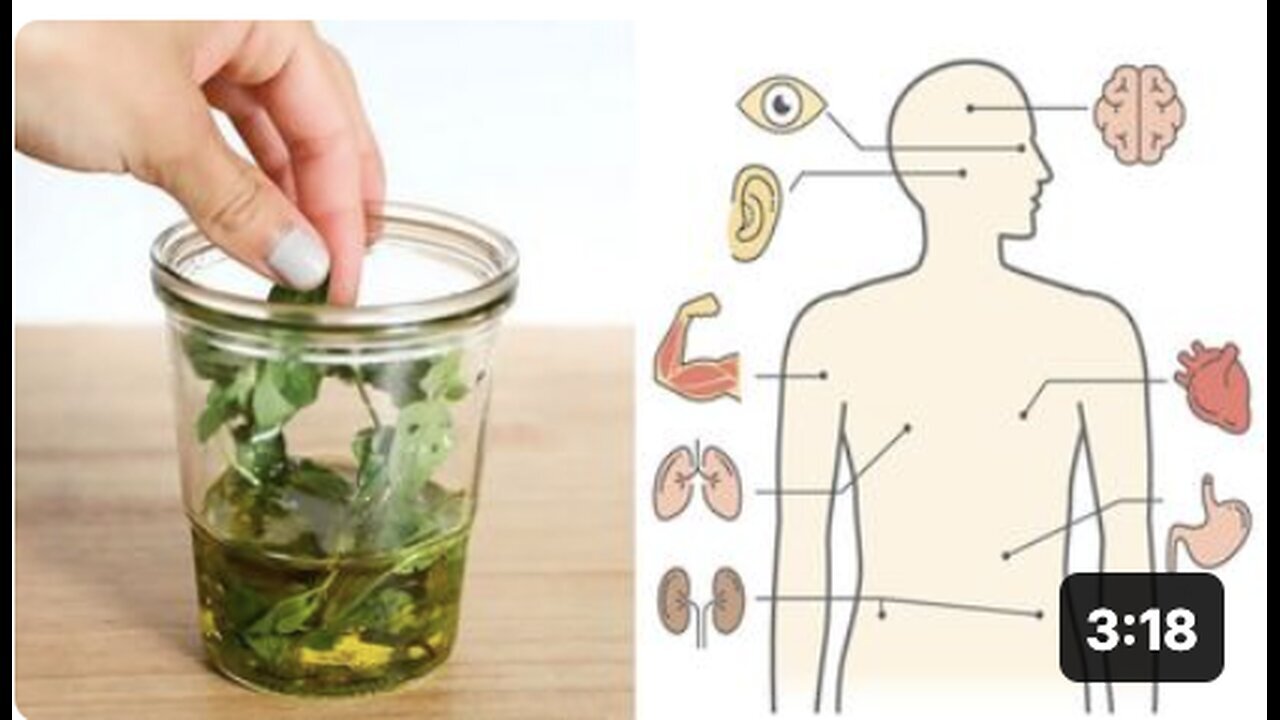 "Exploring Oregano Oil: Uses, Benefits, and DIY Recipe"