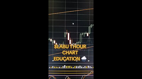 $LABU 1 HOUR CHART 🌧