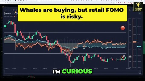 Whale Data Reveals Bitcoin Accumulation: A Bullish Sign?