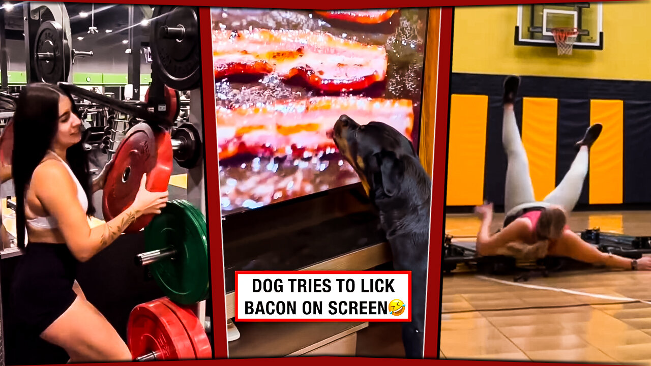 😂 Warning: This Video Contains TOO MUCH Funny Fails! 😂
