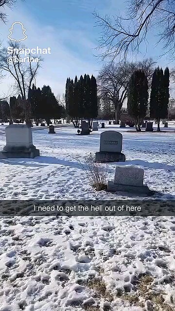 Follow and like 4 more . .