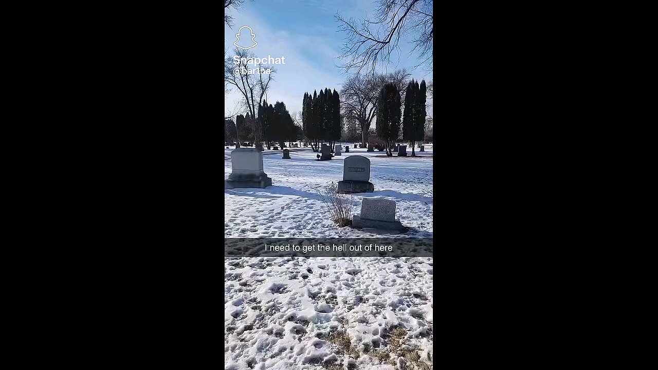 Follow and like 4 more . .