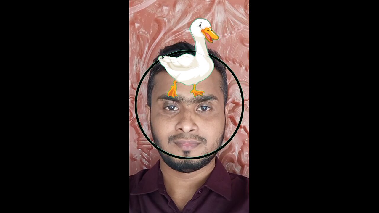 সাদা হাঁসের মাথাটি জোড়া লাগান #reelsviral #puzzle #tendingreels
