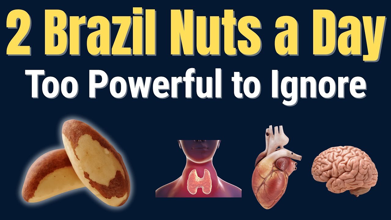 What Happens If You Eat 2 Brazil Nuts a Day?
