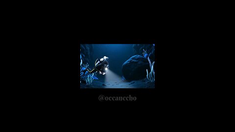 This Giant Crab Did the Most Unexpected Thing Underwater