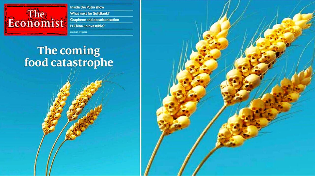 THE COMING WORLD FAMINE-WHAT THE BLEEP #@$%! IS REALLY GOING ON?!??!?